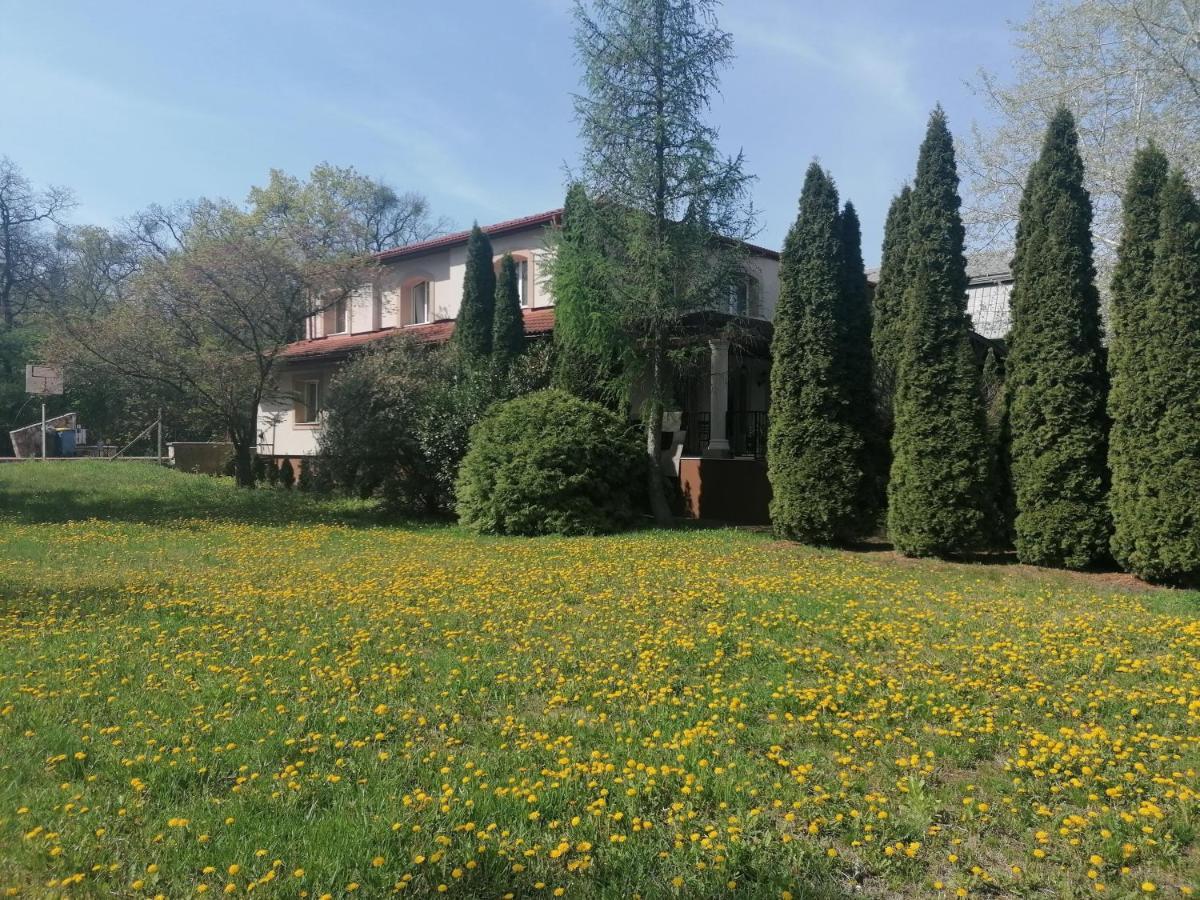 Bed and Breakfast Staff House Nyíregyháza Exterior foto